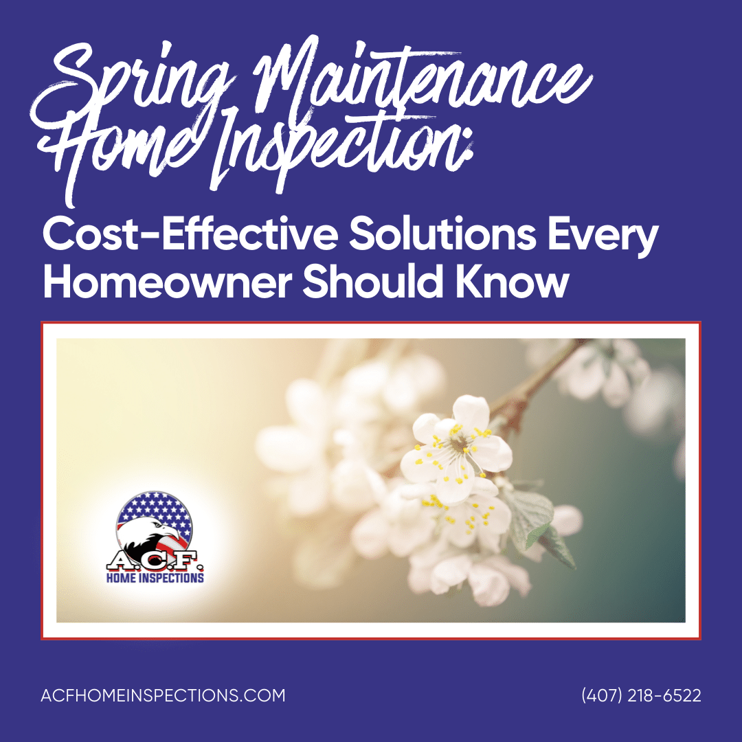 Spring Maintenance Home Inspection: Cost-Effective Solutions Every Homeowner Should Know