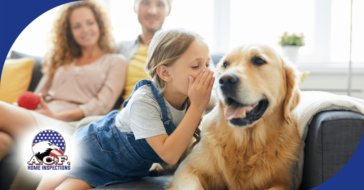 Essential Tips For Keeping Your Pets Safe This Summer