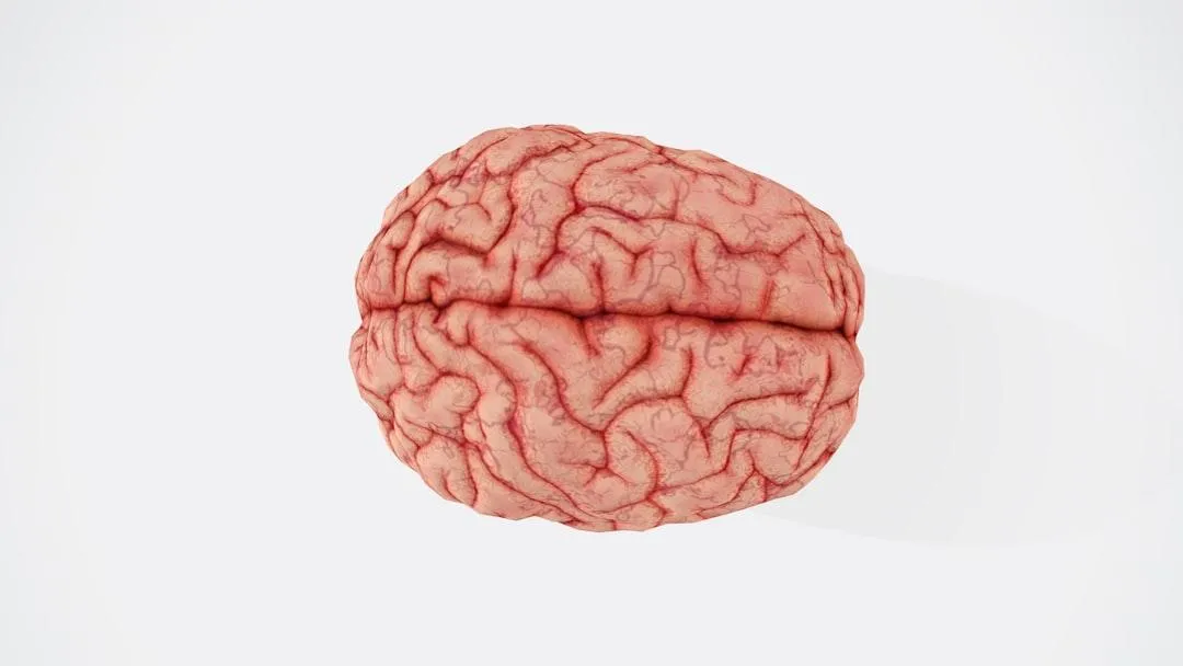 Which Drugs Kill Brain Cells?