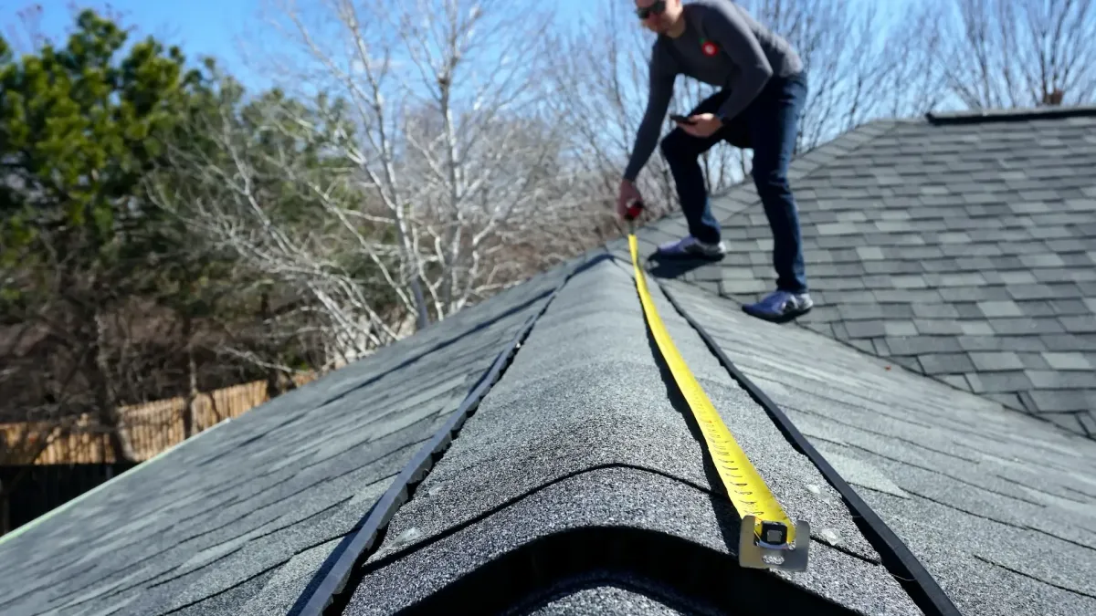 Measuring up to the future domination of LS Roofing