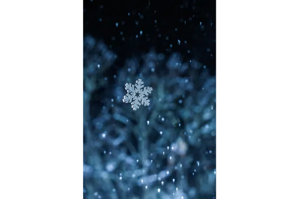 A holiday moment that changed the way one woman dated