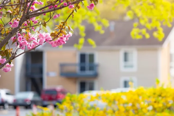 Light, Bright, and Relaxed: Your Spring Home Refresh Starts Here