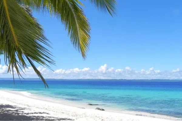 "Explore Coastal Gems Perfect for Relaxation, Adventure, and Southern Charm Living"
