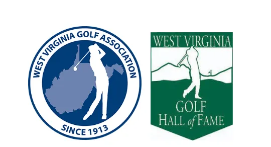 WVGA