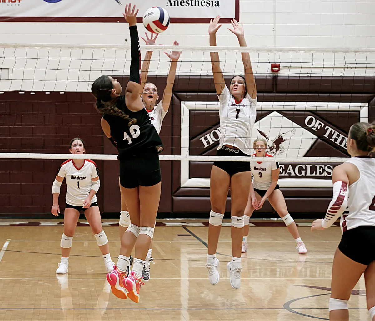 HS Volleyball: MSAC All-Conference Team