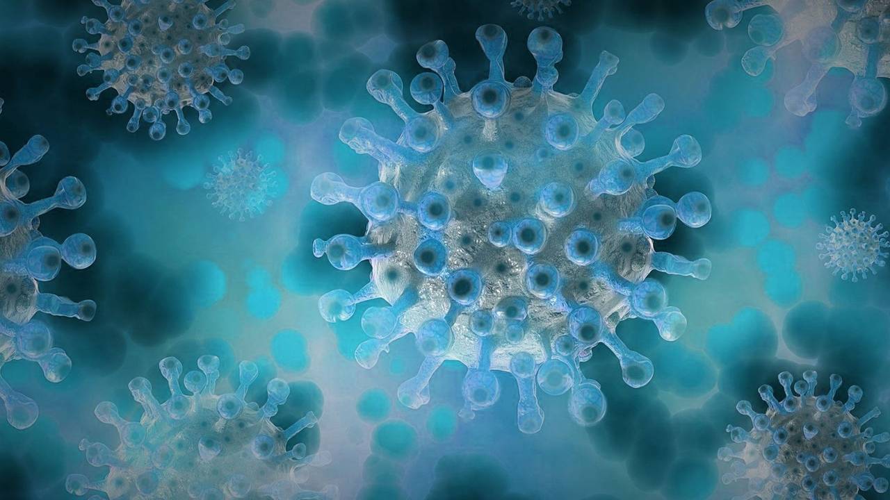 Coronavirus und die Musikbranche