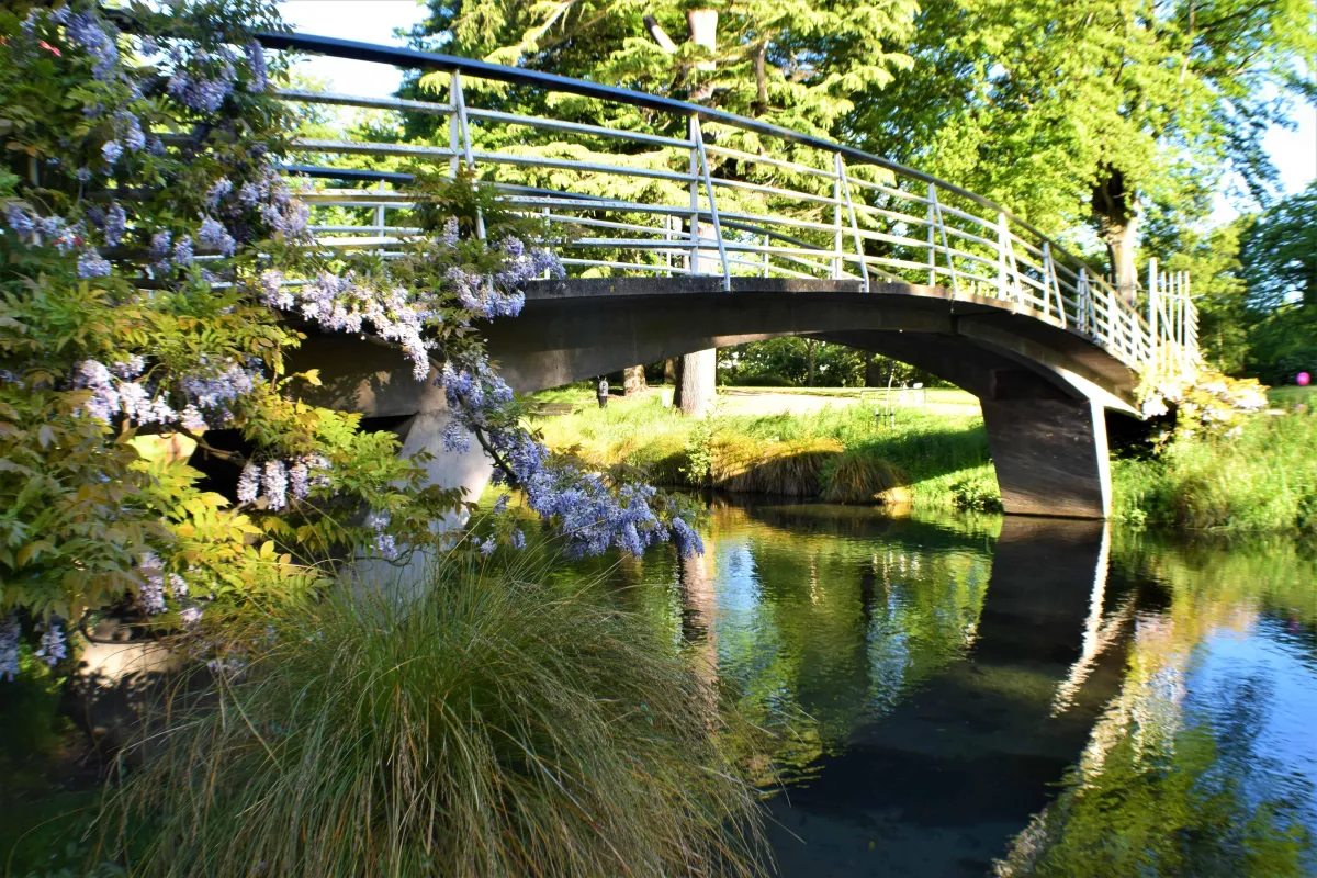 Bridge over a stream