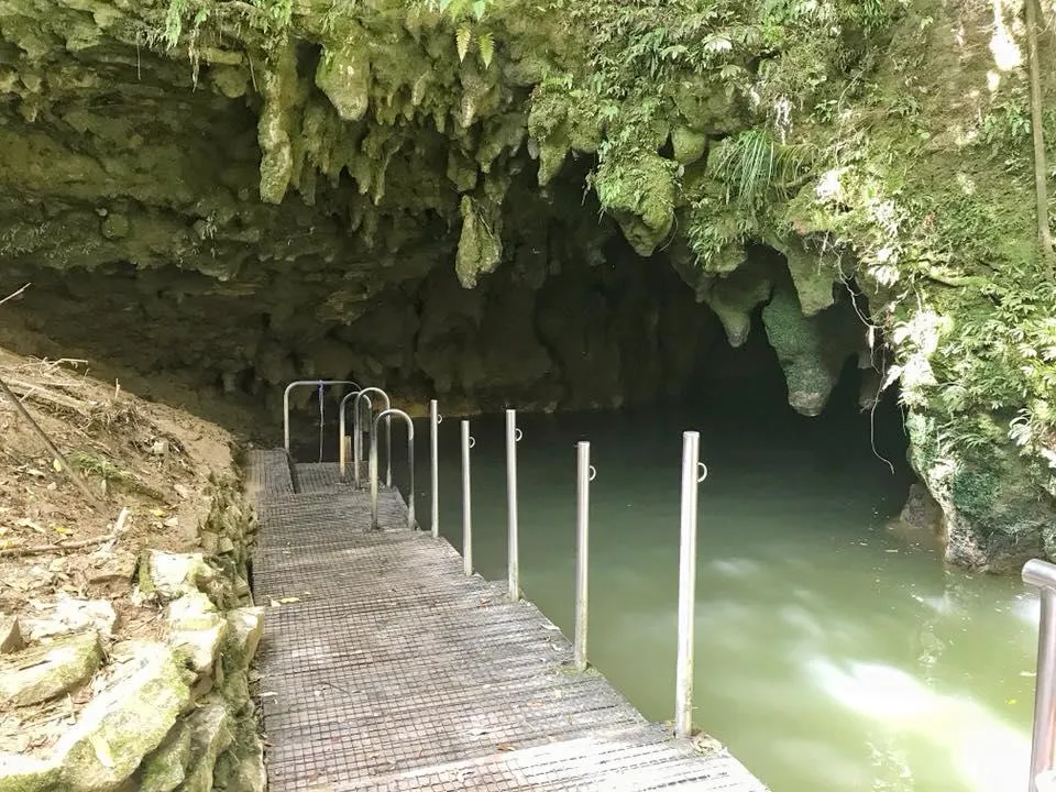 Waitomo Glowworm cave