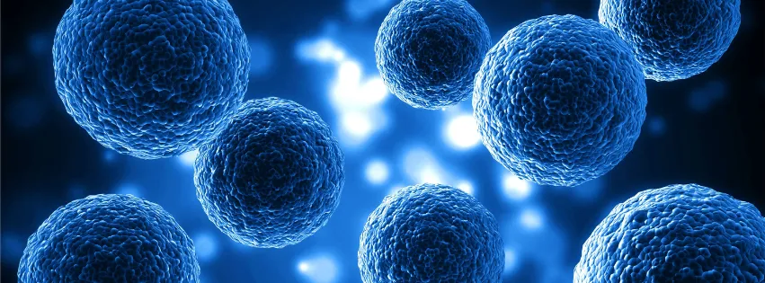 The Hidden Dangers of Stem Cell Fraud: A Warning for Patients