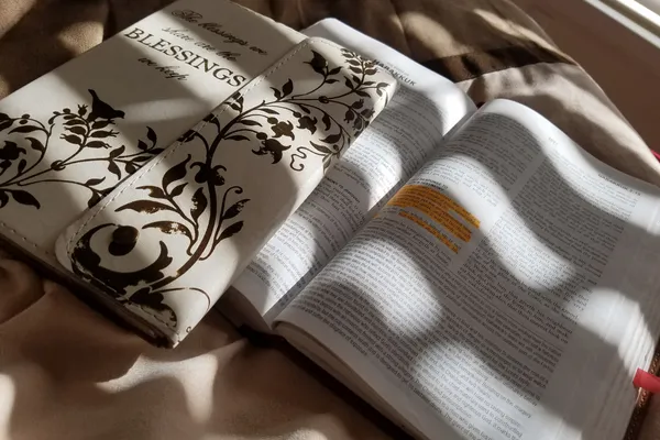 Image representing Behind the Scenes category on The Life More Journal