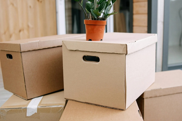 Las 7 Cosas que Debes Hacer Antes de una Mudanza