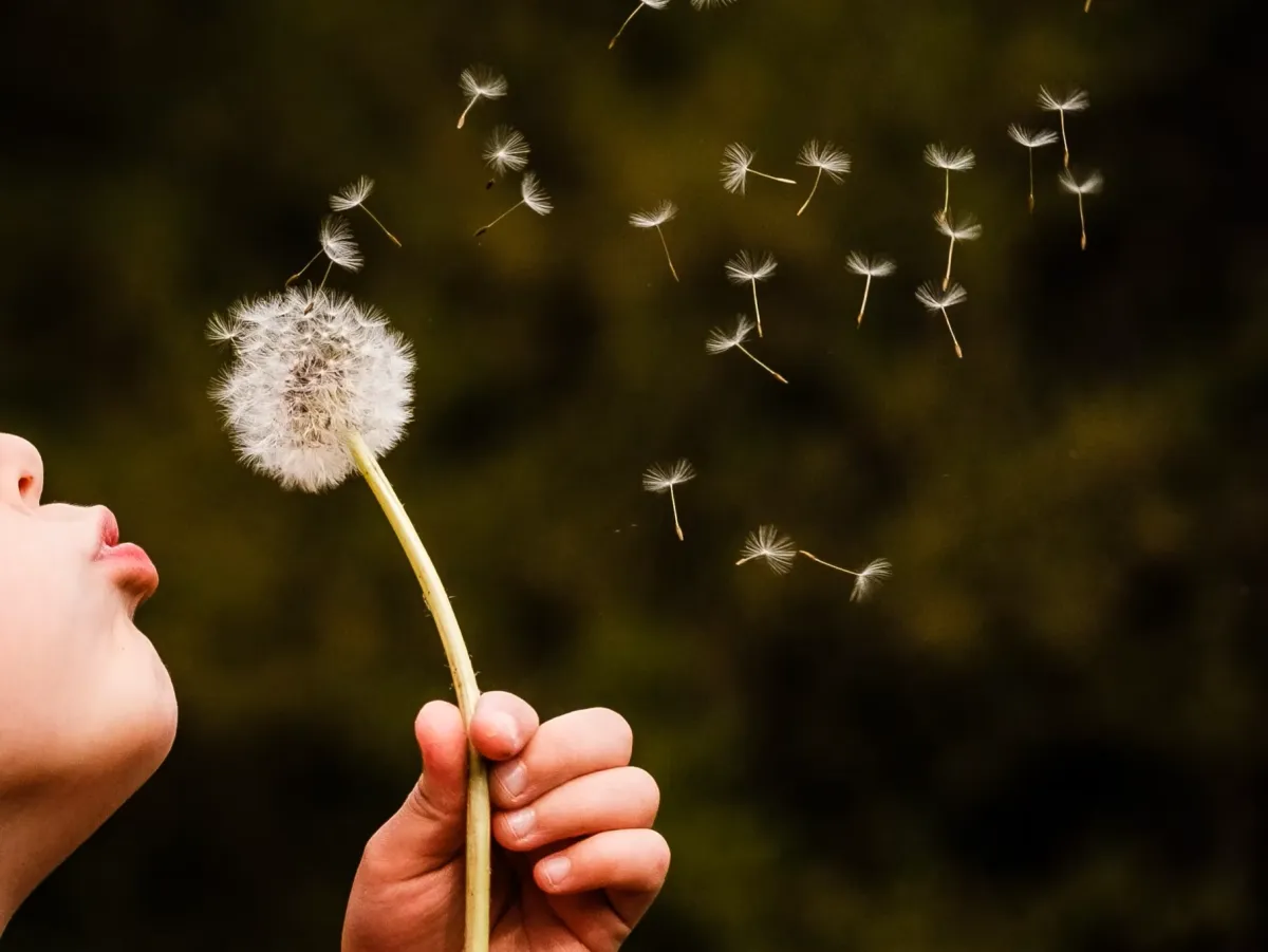 Job Inspiration Can Come From Anywhere