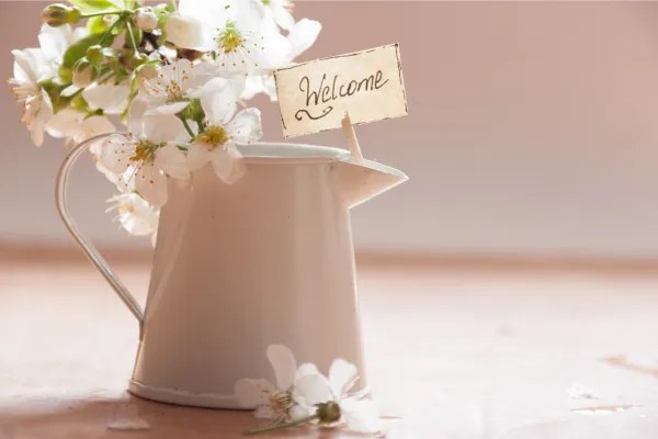 Welcome to the Boundary Boost Blog!