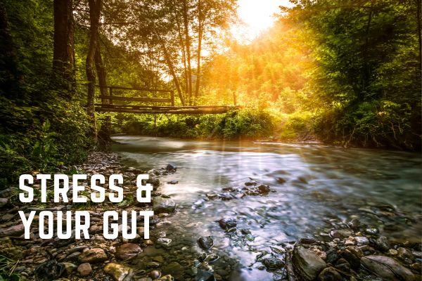 Why Stress Upsets Your Gut (and What You Can Do About It)