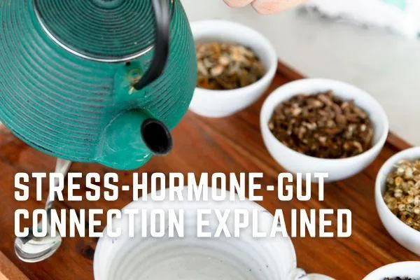 Why Stress Messes With Your Period (and Your Digestion Too)