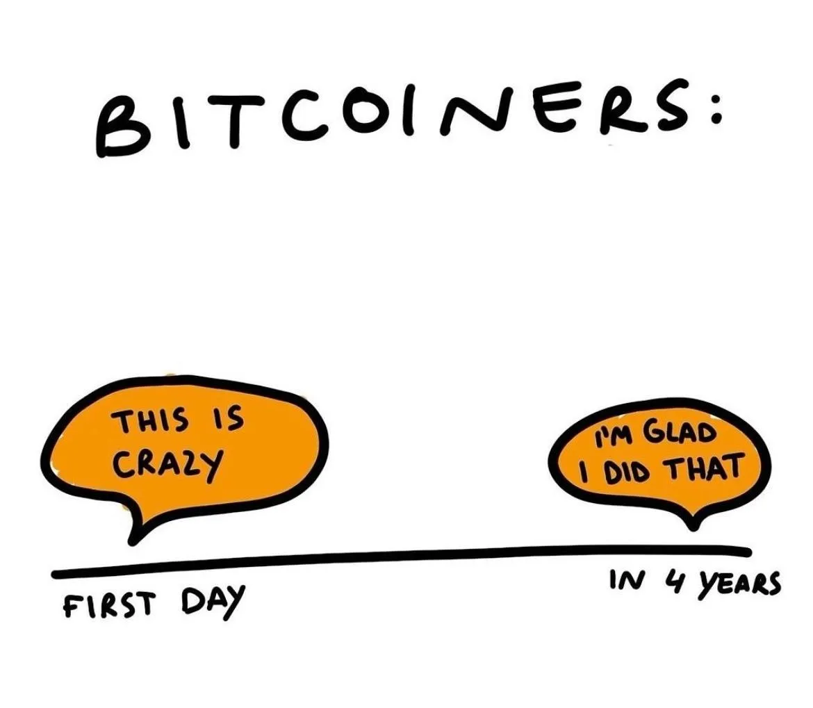 BTC Apprentice: How I Went from $0 to All-In in 35 Days