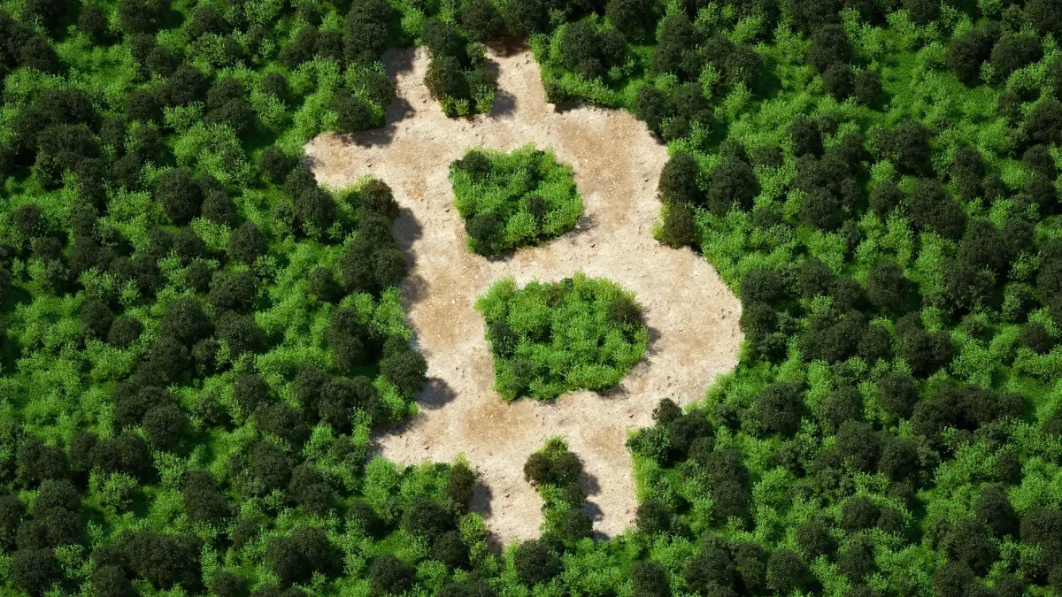 BTC Environment