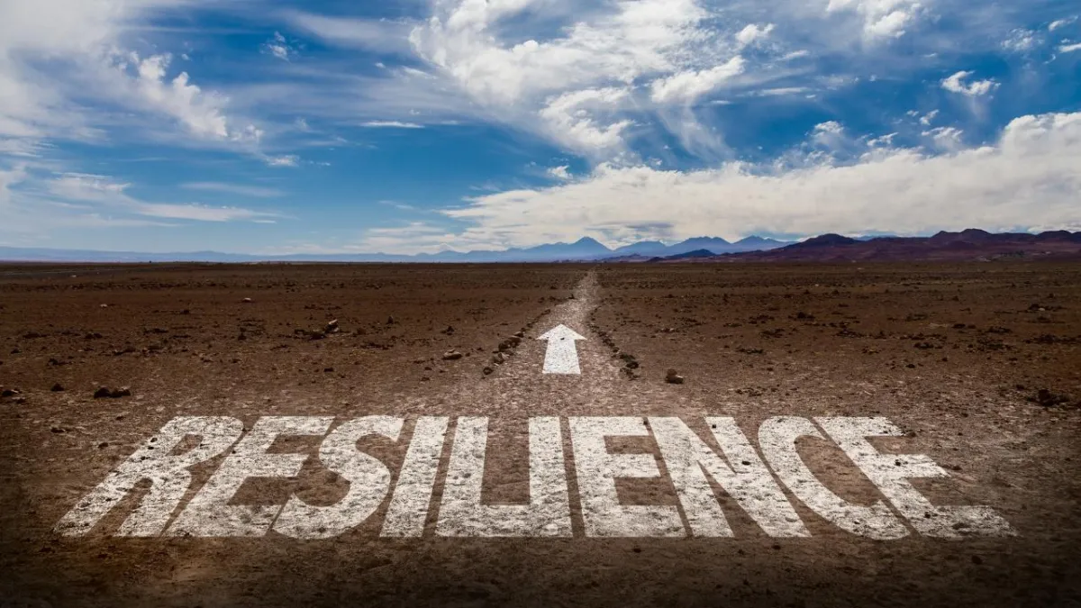Team Climate: The Leader's Guide to Resilience