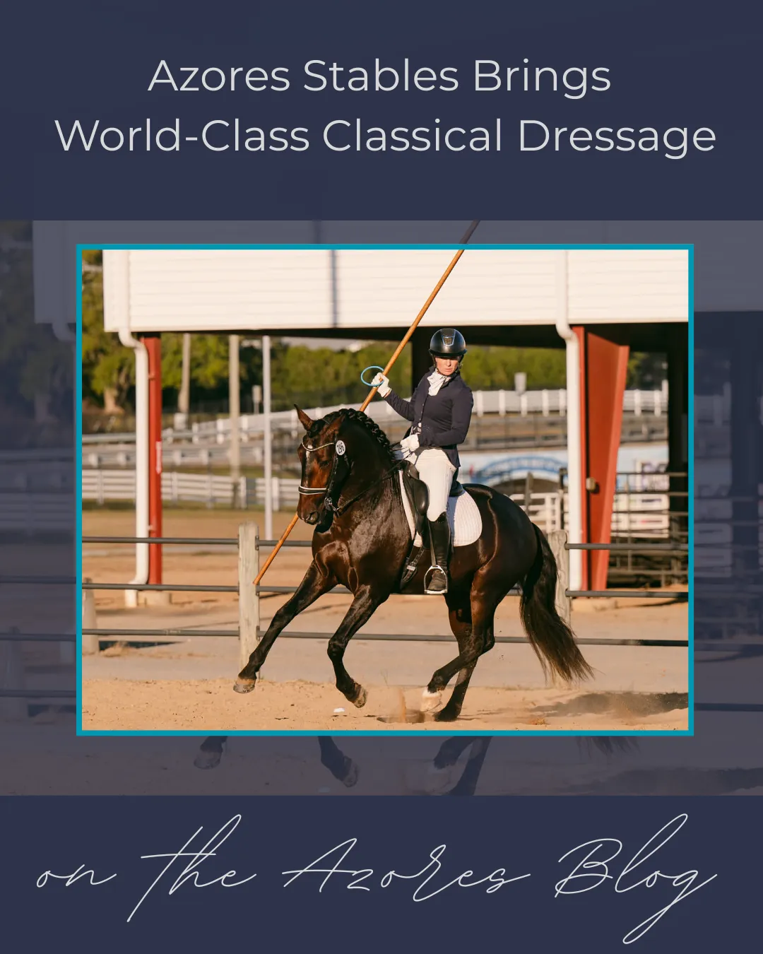 “An equestrian rider wearing a helmet and formal riding attire performs mounted lance work in a sandy arena, guiding a dark horse at a collected gait while holding a long wooden lance upright. A covered arena structure and fencing appear in the background.”