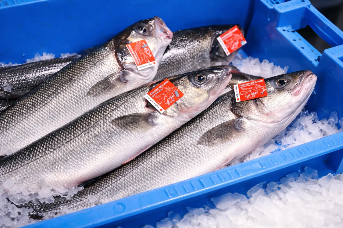 Produits de la mer : qualité, traçabilité et confiance