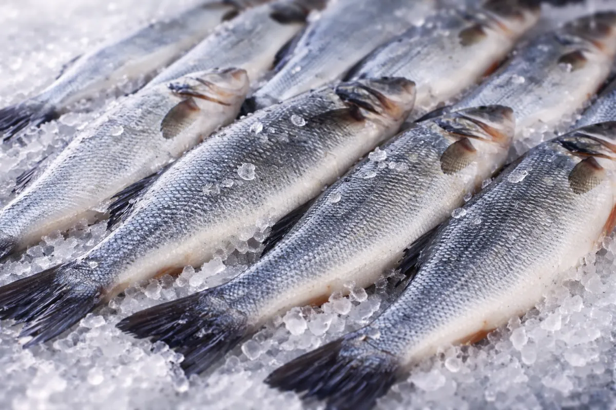 Pourquoi Rungis est un atout stratégique pour les professionnels des produits de la mer