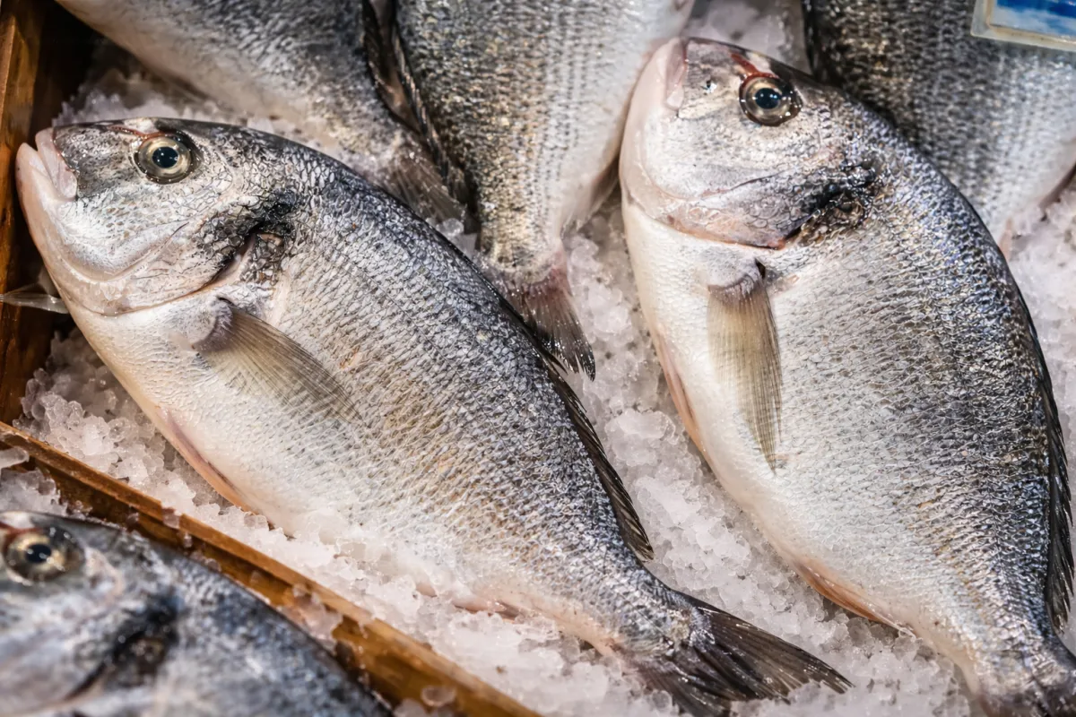 Produits de la mer et saisonnalité : un enjeu majeur pour les chefs