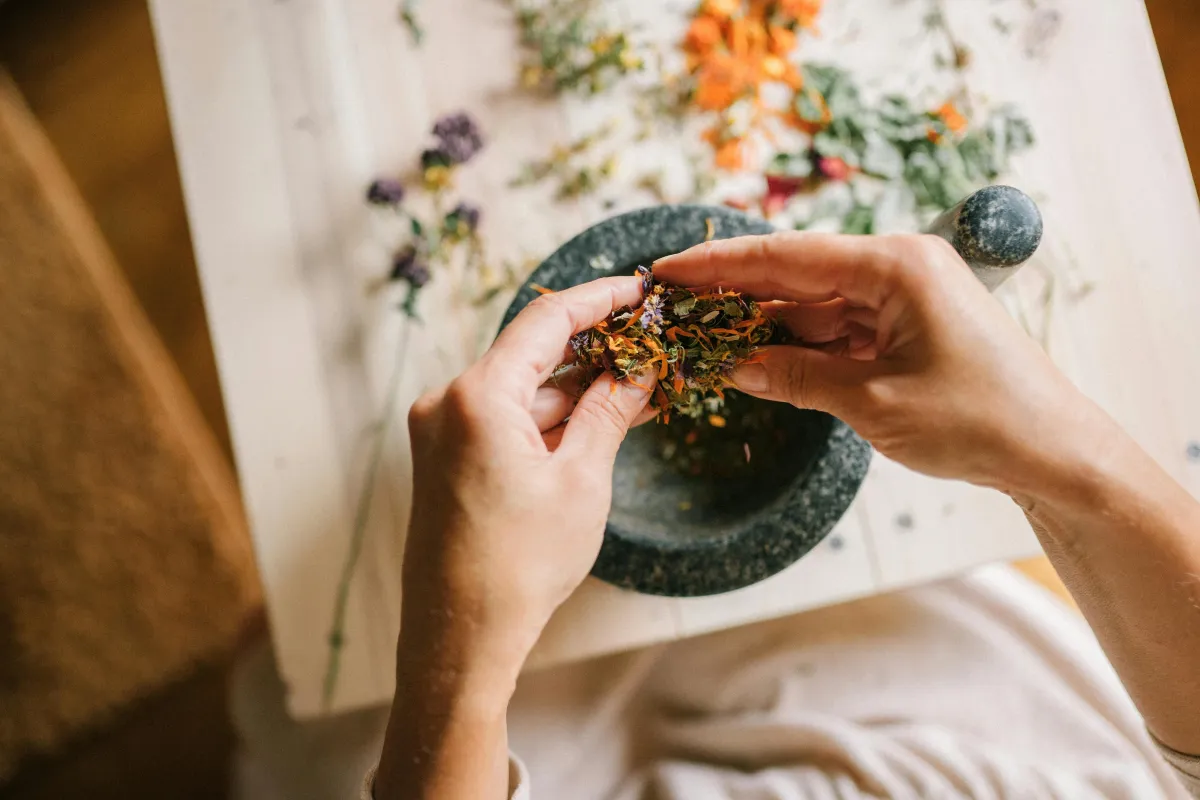 medicinal plants