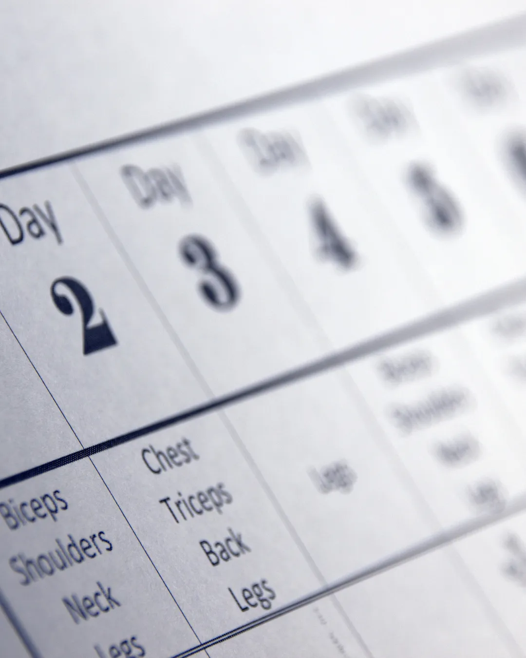 The Power of Everyday Moments in Language Development