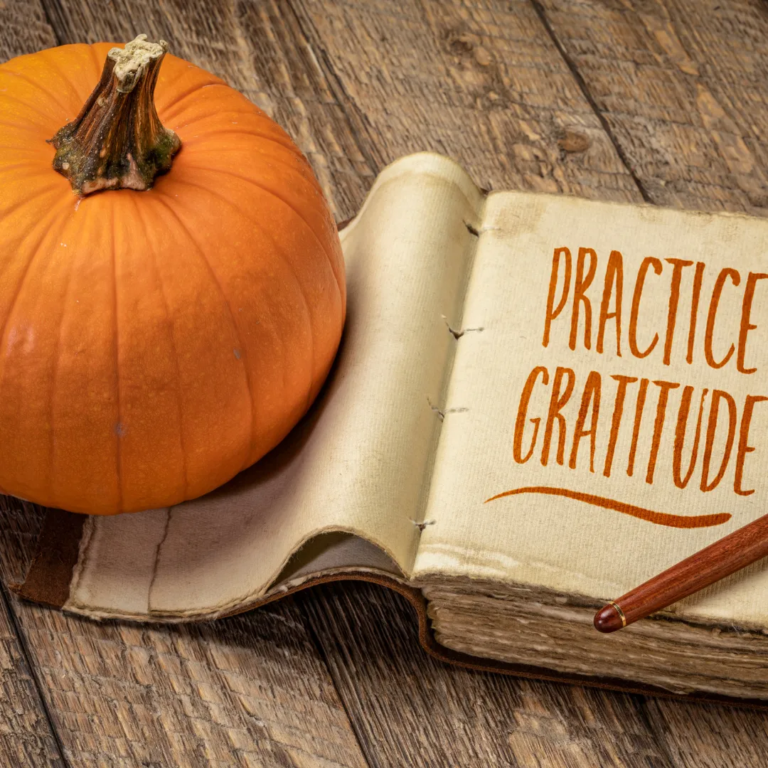 How Gratitude Can Transform the Way You Communicate
