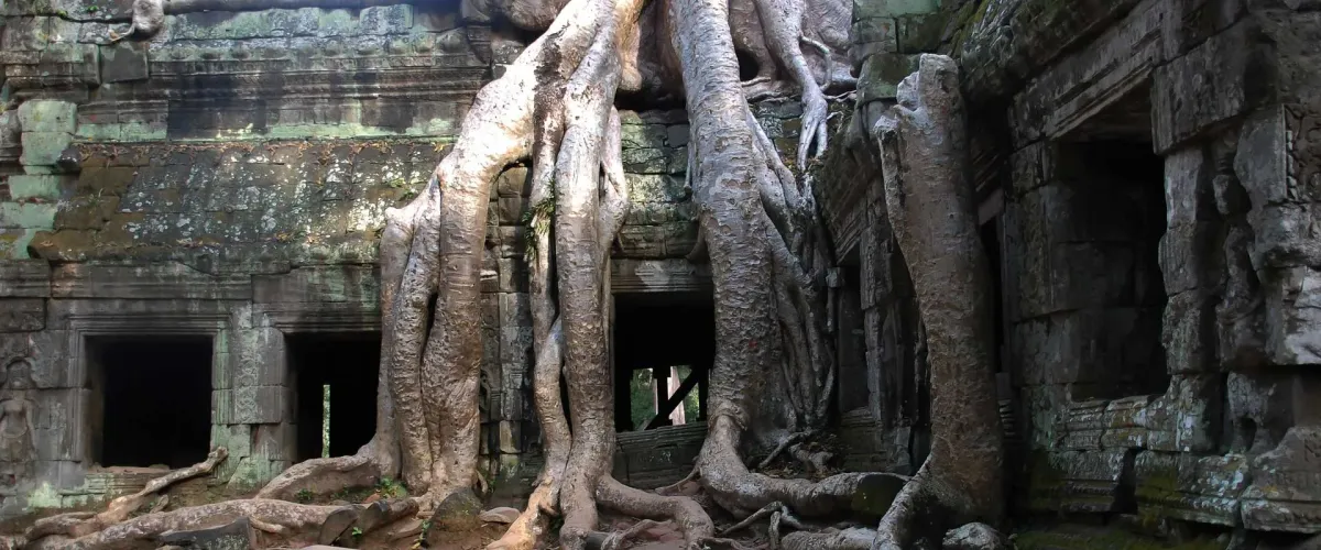 Gratis Jahresticket Angkor Wat