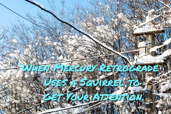 When Mercury Retrograde Uses a Squirrel to Get Your Attention