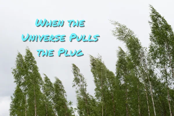 When the Universe Pulls the Plug (So You Finally Listen)