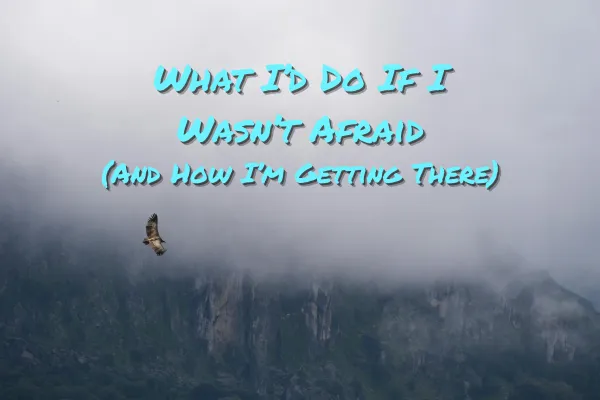 What I’d Do If I Wasn’t Afraid (And How I’m Getting There)