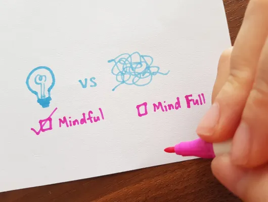 Mindful vs Mind Full