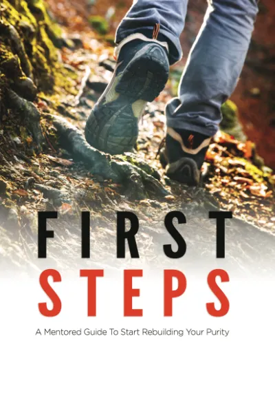 First Steps: A Mentored Guide 