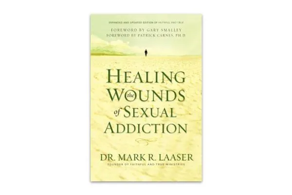 Healing the Wounds of Sexual Addiction book cover