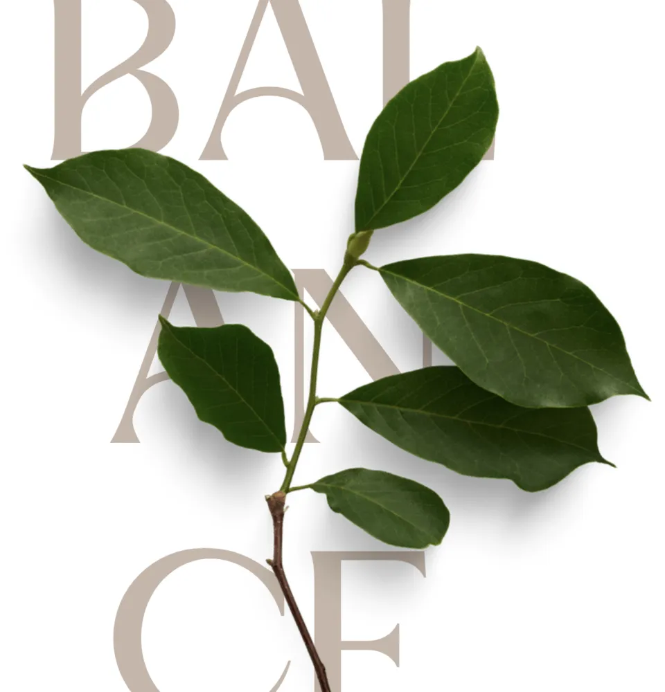 Hormonen in Balans: Barbara O'Neill Tips + Trampoline & Bekkenbodem Stenen voor Vrouwen