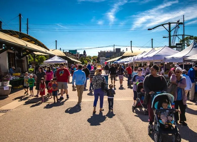 Fresh Picks & Local Vibes: A Morning at the Holland Farmers Market You’ll Never Forget