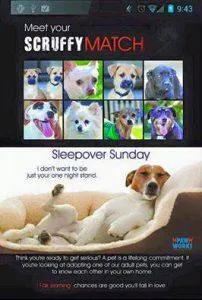 Sleep Over Sunday Ad