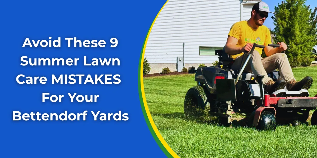 Avoid These 9 Summer Lawn Care Mistakes For Your Bettendorf Yards