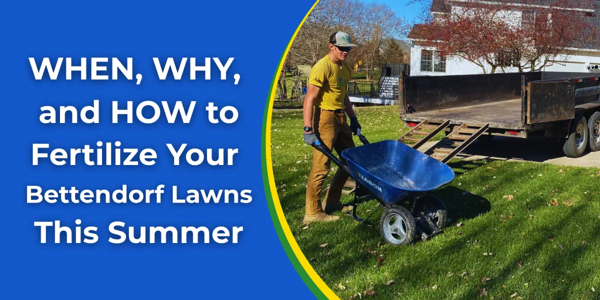 When, Why, and How to Fertilize Your Lawns This Summer | Lawn Fertilizing Bettendorf
