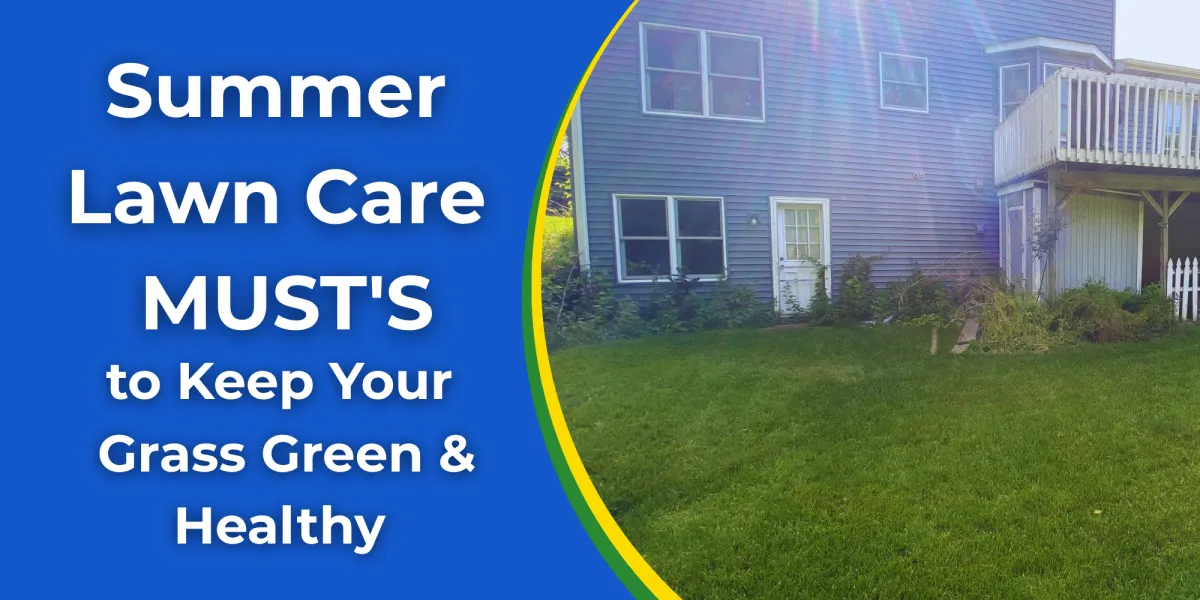 Summer Lawn Care Must's to Keep Your Grass Green & Healthy | Lawn Care Services Bettendorf
