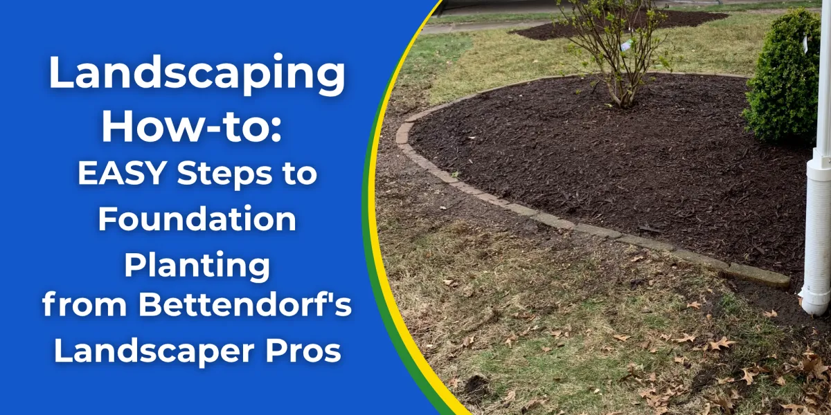 Landscaping How-to: EASY Steps to Foundation Planting from Bettendorf's Landscaper Pros
