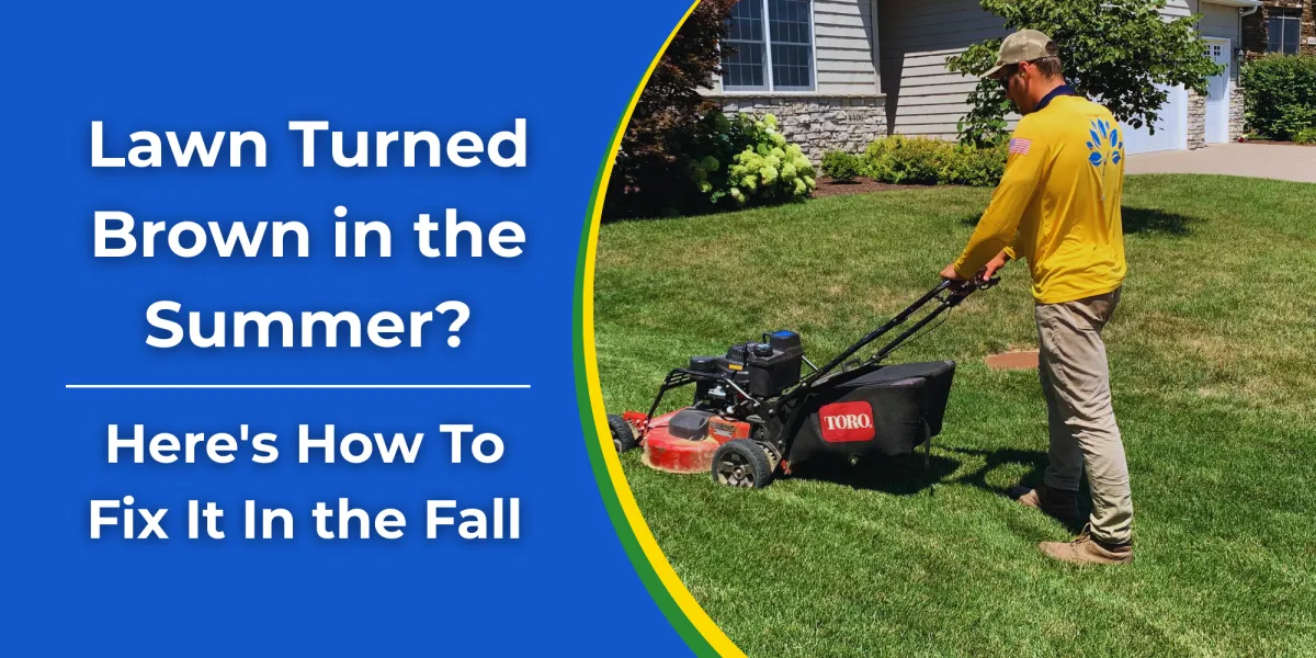 Lawn Turned Brown in the Summer? Here's How To Fix It In the Fall | Lawn Care Bettendorf
