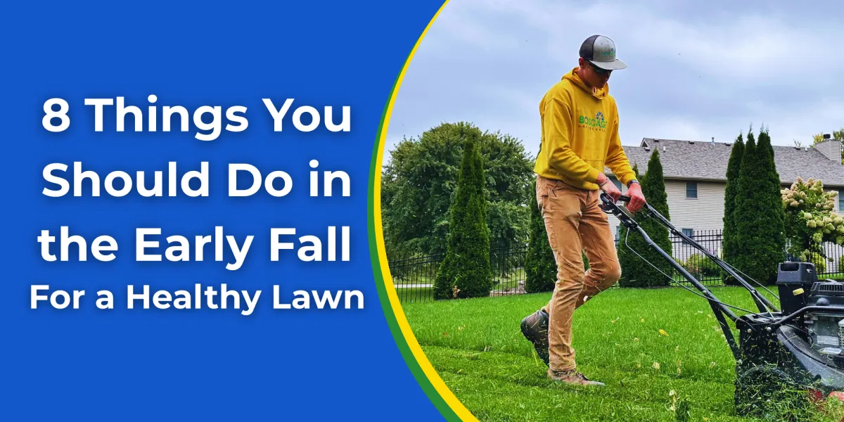 8 Things You Should Do in the Early Fall For a Healthy Lawn | Lawn Care Services Bettendorf