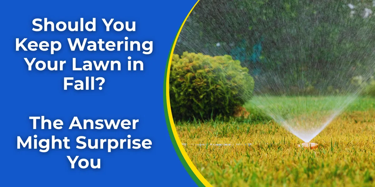 lawn care boscage landscaping