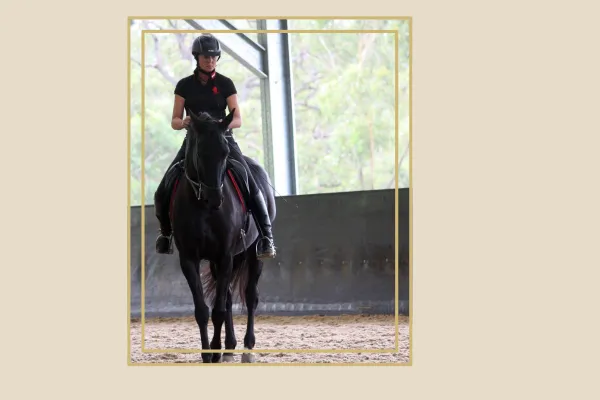 A rider on a dark horse in an indoor riding arena, focusing on balance and posture. The horse is calm and attentive, while the background features natural light and greenery visible through the arena windows. The scene is framed with a decorative golden border.