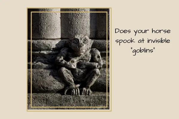 A carved stone gargoyle with wide eyes and an expressive face, perched against a textured stone wall. The image is framed with a decorative golden border, accompanied by text that reads, "Does your horse spook at invisible 'goblins'?