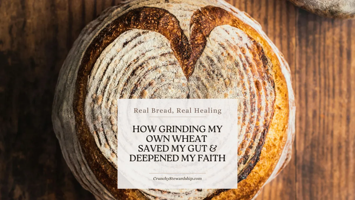 Real Bread, Real Healing: How Grinding My Own Wheat Saved My Gut and Deepened My Faith