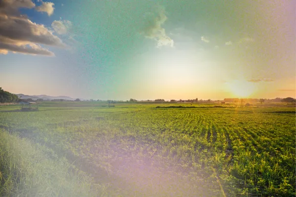 Episode 003: Understanding Food Cultivation: Pesticides, Organic Choices, and God’s Plan for Farming